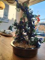 Kralen druivenrank, Hobby en Vrije tijd, Ophalen of Verzenden, Kraal