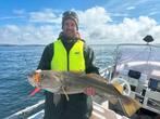 Inchiku bottomship, Watersport en Boten, Ophalen of Verzenden, Nieuw, Dobber of Lood