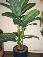 Kunstplant, Ophalen, Overige soorten, Halfschaduw, 100 tot 150 cm