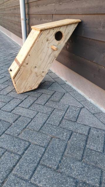 Grote vogelblokken beschikbaar voor biedingen