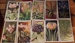 10 grote platen uit Kamerplanten Verkade 1928, Ophalen of Verzenden, Nieuw, Verkade, Plaatjesalbum