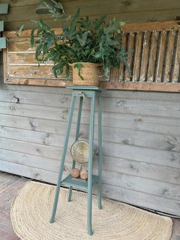 Diverse plantentafels beschikbaar voor biedingen