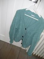 Peserico, Ophalen of Verzenden, Zo goed als nieuw, Maat 38/40 (M), Blauw