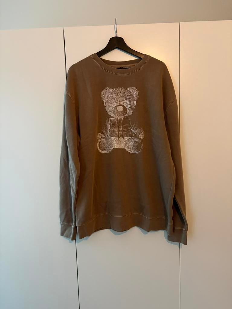 Ariana Grande Hoodie, Ophalen of Verzenden, Zo goed als nieuw