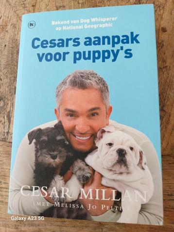Cesar Millan - Cesar's aanpak voor puppy's beschikbaar voor biedingen