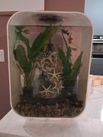 Biorb life 15, Dieren en Toebehoren, Vissen | Aquaria en Toebehoren, Ophalen of Verzenden, Gebruikt, Gevuld zoetwateraquarium