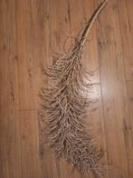 Decoratieve takkenbos/gedroogd palmblad., Ophalen, Zo goed als nieuw