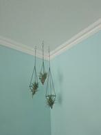 Hangende decoratie voor luchtplantjes, Minder dan 30 cm, Minder dan 60 cm, Ophalen of Verzenden, Zo goed als nieuw