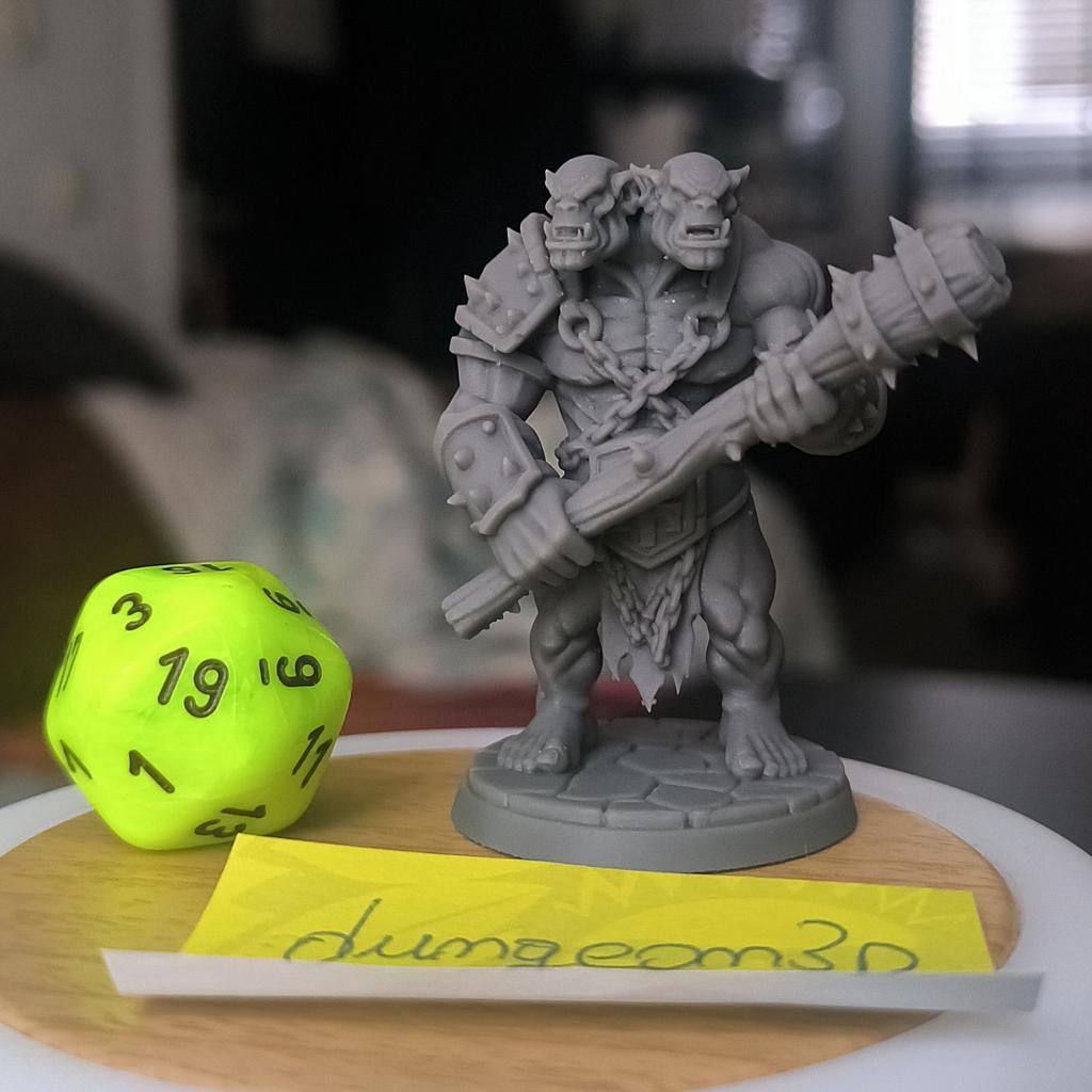 Dungeons & Dragons, D&D, HeroQuest, miniature Ogre champion, Ophalen of Verzenden, Overige soorten