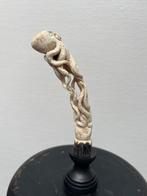 Snijwerk hertengewei, octopus, Ophalen