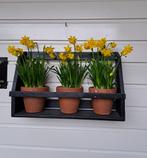 Plantenrek voor 3 potten, diep zwart., Ophalen, Tuin, Minder dan 60 cm, Rond