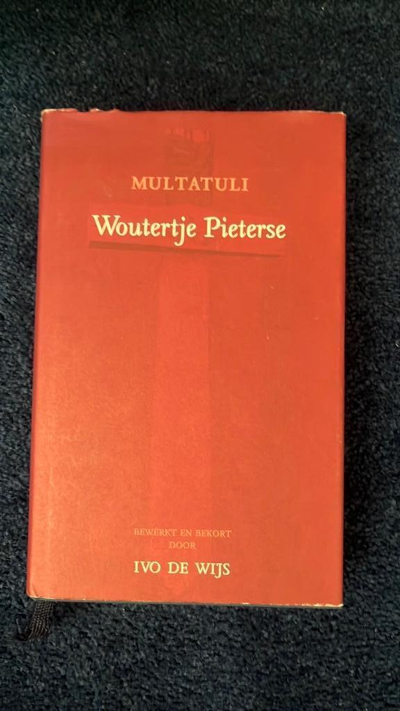 Multatuli - Woutertje Pieters (Ivo de Wijs)  1e druk, Boeken, Literatuur, Zo goed als nieuw, Ophalen of Verzenden