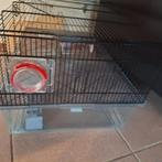 Gratis hamsterkooi, Dieren en Toebehoren, Kooi, Gebruikt, Minder dan 75 cm, Ophalen