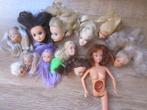 Barbie poppen hoofdjes Fleur Simba met korte - lange haren, Ophalen of Verzenden, Gebruikt, Overige typen
