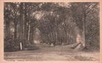 Prinsenhage, Liesbosch (1919) 130919, Verzenden, Voor 1920, Gelopen, Noord-Brabant