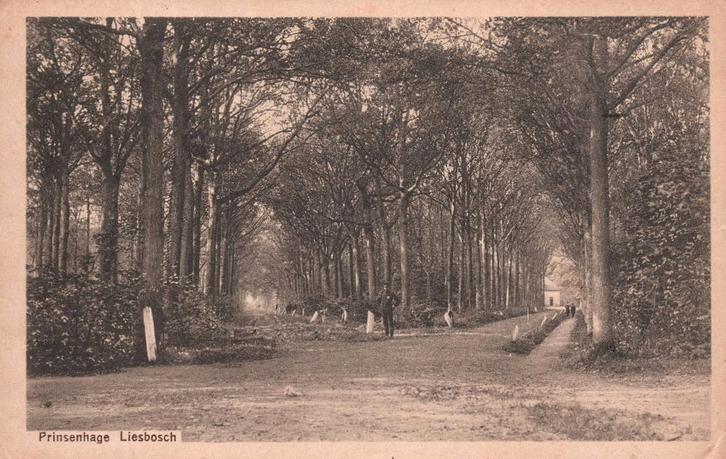 Prinsenhage, Liesbosch (1919) 130919, Verzamelen, Ansichtkaarten | Nederland, Gelopen, Noord-Brabant, Voor 1920, Verzenden