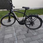Hercules Futura Pro I-11, Ophalen, Zo goed als nieuw, 50 km per accu of meer, Overige merken