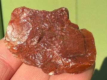 Donker rode calciet ruw uit Mexico mineralen beschikbaar voor biedingen