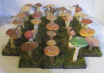 grote collectie antieke modellen paddestoelen 47/1 beschikbaar voor biedingen