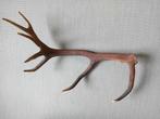 Grote zware afwerpstang van Edelhert  80cm., Verzamelen, Ophalen, Zo goed als nieuw, Beeldje of Figuurtje