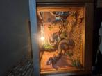 Terrarium met keus aan slangen, Dieren en Toebehoren, Reptielen en Amfibieën | Toebehoren, Ophalen of Verzenden, Nieuw, Terrarium of Paludarium