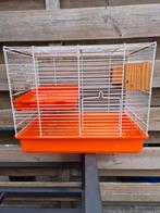 Kleine knaagdierenkooi, Dieren en Toebehoren, Minder dan 60 cm, Kooi, Gebruikt, Minder dan 75 cm