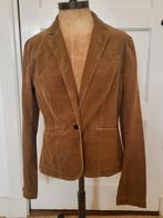 Tommy Hilfiger corduroy jasje, smalle rib /babyrib mt S, Beige, Ophalen of Verzenden, Zo goed als nieuw, Jasje