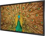 IBoard Touch 75inch Interactief Smartboard, Overige merken, Gebruikt, LCD, Ophalen of Verzenden