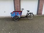 Babboe Big bakfiets inclusief regentent, 4 kinderen of meer, Gebruikt, Huif, Ophalen