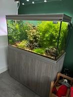 Aquarium Aquatlantis 120x50x60 360 liter, Gebruikt, Ophalen, Gevuld zoetwateraquarium