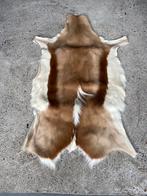 Springbok vel/huid, Ophalen of Verzenden, Zo goed als nieuw