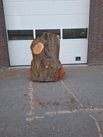 Boomstam, Ophalen of Verzenden