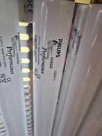 12 stuks Philips Cleo performance 100W zonnebanklampen, Witgoed en Apparatuur, Zonnebanken en Gezichtsbruiners, Ophalen, Zo goed als nieuw