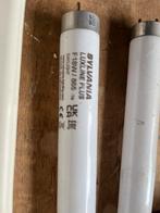 9 tl-buizen 60 cm, Ophalen of Verzenden, Gebruikt, Minder dan 50 watt, Lamp