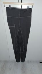 rijlegging maat 36, Dames, Dressuur, Nieuw, Onderkleding