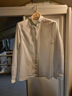 Mooi capellini  blouse  maat 42, Maat 42/44 (L), Ophalen of Verzenden, Wit