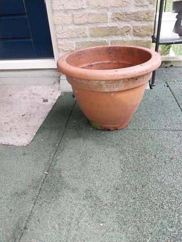 Grote Terracotta Plantenpot beschikbaar voor biedingen
