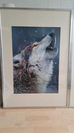 Poster van wolf ingelijst. Lijst lengte 1.02cm Breedte 72cm, Ophalen, Zo goed als nieuw, Foto of Poster
