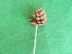 27 natuurlijke dennenappels op stok, Diversen, Kerst, Ophalen of Verzenden, Nieuw