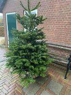Kerstboom, Tuin en Terras, Planten | Bomen, Ophalen of Verzenden