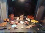 Verzameling Stenen, Mineralen & Fossielen, Verzamelen, Ophalen, Gebruikt, Decoratie