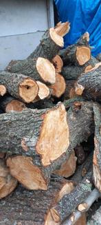 haardhout (bomenhout), Tuin en Terras, Haardhout, Minder dan 3 m³, Ophalen of Verzenden