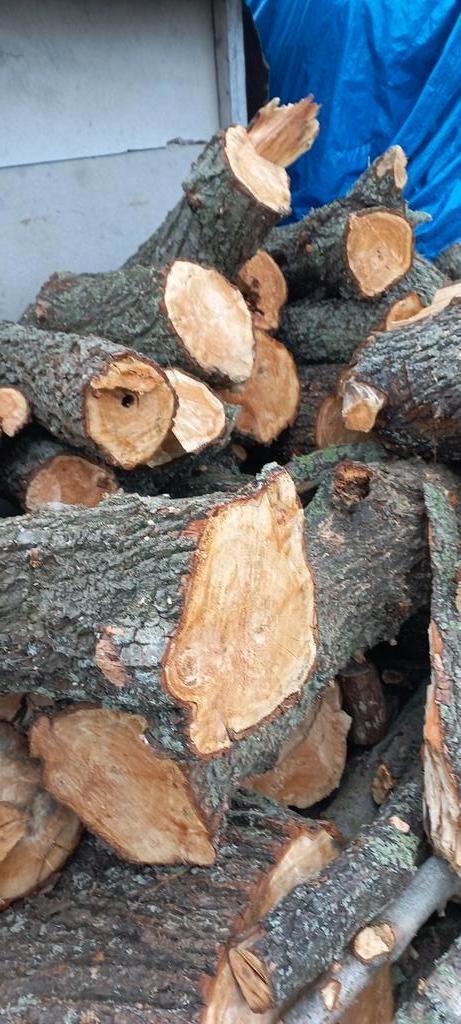 haardhout (bomenhout), Tuin en Terras, Haardhout, Minder dan 3 m³, Ophalen of Verzenden