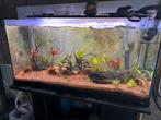 Aqurium met CristalProfi e1902 greenline filter, Dieren en Toebehoren, Vissen | Aquaria en Toebehoren, Ophalen, Zo goed als nieuw