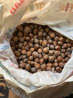 Hazelnoten, Diversen, Ophalen