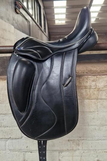 Prachtig KM 17,5' mono dressuur beschikbaar voor biedingen