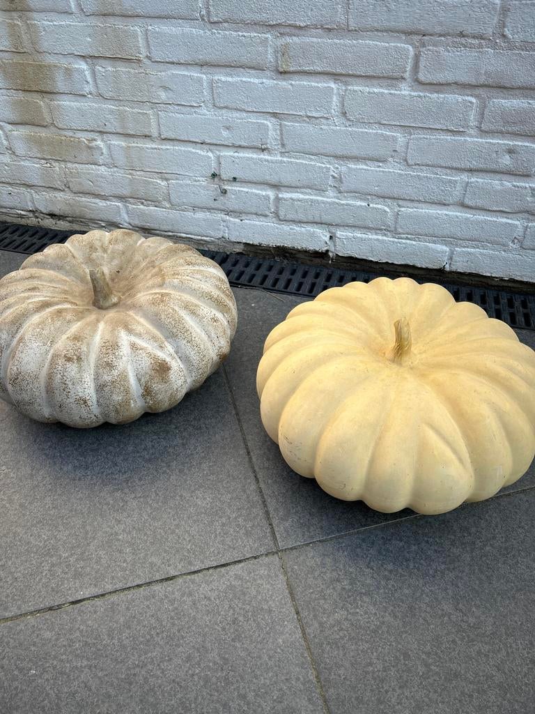 2 pompoenen van steen, Ophalen of Verzenden, Overige materialen, 25 tot 50 cm