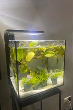 Superfish Qubiq 30 Pro Zwart + verwarming, Gebruikt, Ophalen of Verzenden, Leeg aquarium