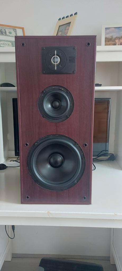 JBL TLX 500 Gereviseerd, Audio, Tv en Foto, Luidsprekers, Gebruikt, Front, Rear of Stereo speakers, 120 watt of meer, JBL, Ophalen of Verzenden
