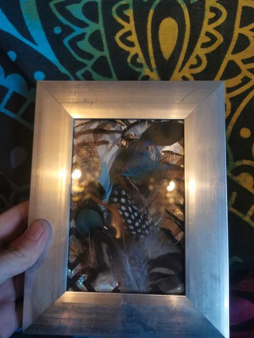 Exotische vogel veren in lijst deco, Verzamelen, Overige Verzamelen, Zo goed als nieuw, Ophalen of Verzenden